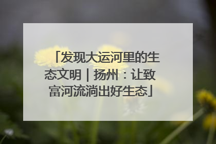 发现大运河里的生态文明｜扬州：让致富河流淌出好生态