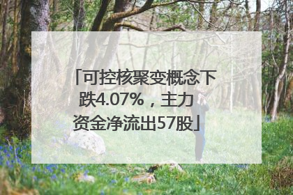 可控核聚变概念下跌4.07%，主力资金净流出57股