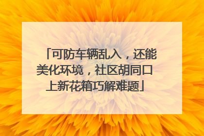 可防车辆乱入，还能美化环境，社区胡同口上新花箱巧解难题