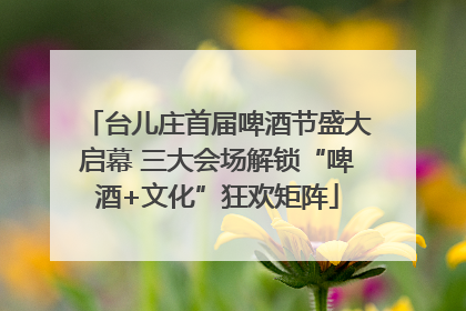 台儿庄首届啤酒节盛大启幕 三大会场解锁“啤酒+文化”狂欢矩阵