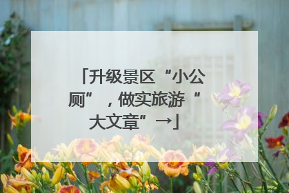 升级景区“小公厕”，做实旅游“大文章”→