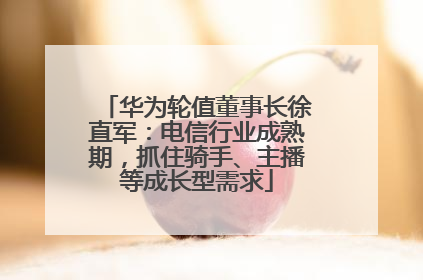 华为轮值董事长徐直军：电信行业成熟期，抓住骑手、主播等成长型需求