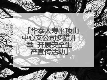 华泰人寿平顶山中心支公司多措并举  开展安全生产宣传活动