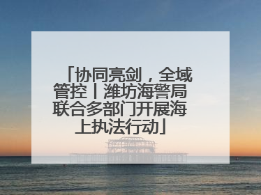 协同亮剑，全域管控丨潍坊海警局联合多部门开展海上执法行动
