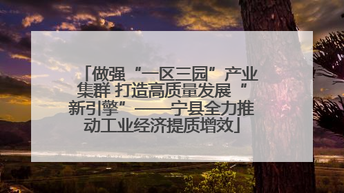 做强“一区三园”产业集群 打造高质量发展“新引擎”——宁县全力推动工业经济提质增效