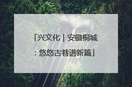 兴文化｜安徽桐城：悠悠古巷谱新篇