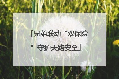 兄弟联动“双保险”守护天路安全