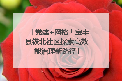 党建+网格！宝丰县铁北社区探索高效能治理新路径