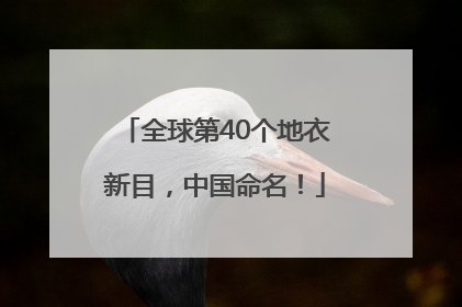 全球第40个地衣新目，中国命名！
