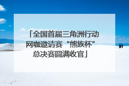 全国首届三角洲行动网咖邀请赛“熊族杯”总决赛圆满收官