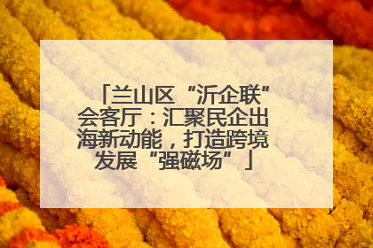 兰山区“沂企联”会客厅：汇聚民企出海新动能，打造跨境发展“强磁场”