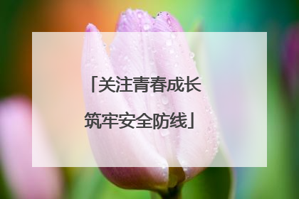 关注青春成长 筑牢安全防线