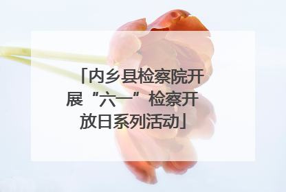 内乡县检察院开展“六一”检察开放日系列活动