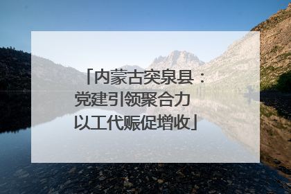 内蒙古突泉县：党建引领聚合力 以工代赈促增收
