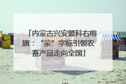 内蒙古兴安盟科右前旗：“蒙”字标引领农畜产品走向全国