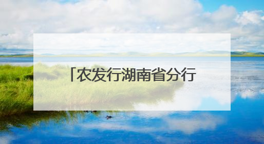 农发行湖南省分行银企对账省行集中处理正式上线运行
