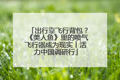 出行靠飞行背包？《美人鱼》里的喷气飞行器成为现实丨活力中国调研行