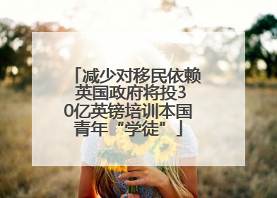 减少对移民依赖 英国政府将投30亿英镑培训本国青年“学徒”