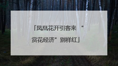 凤凰花开引客来 “赏花经济”别样红