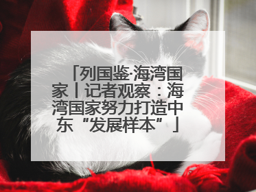 列国鉴·海湾国家丨记者观察：海湾国家努力打造中东“发展样本”