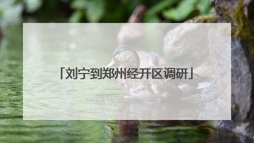 刘宁到郑州经开区调研