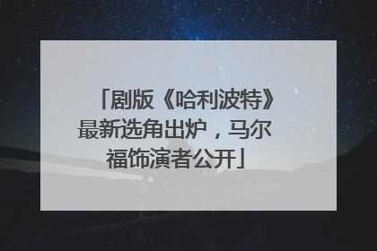 剧版《哈利波特》最新选角出炉，马尔福饰演者公开