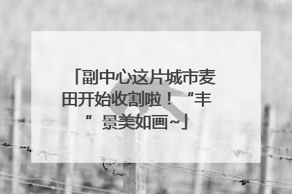 副中心这片城市麦田开始收割啦！“丰”景美如画~