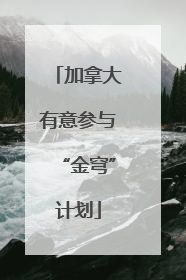 加拿大有意参与“金穹”计划