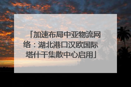 加速布局中亚物流网络：湖北港口汉欧国际塔什干集散中心启用
