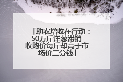 助农增收在行动：50万斤洋葱滞销 收购价每斤却高于市场价三分钱