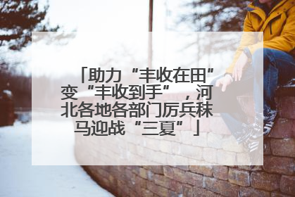 助力“丰收在田”变“丰收到手”，河北各地各部门厉兵秣马迎战“三夏”