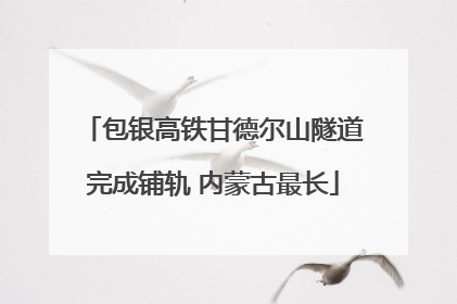包银高铁甘德尔山隧道完成铺轨 内蒙古最长