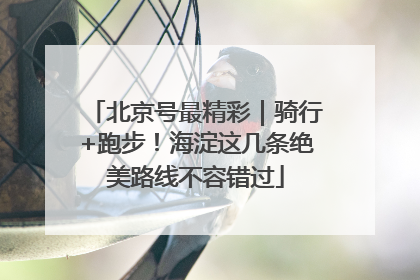 北京号最精彩｜骑行+跑步！海淀这几条绝美路线不容错过