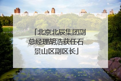北京北辰集团副总经理胡浩获任石景山区副区长