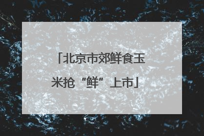 北京市郊鲜食玉米抢“鲜”上市