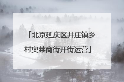 北京延庆区井庄镇乡村奥莱商街开街运营