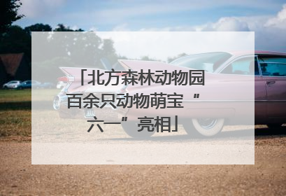 北方森林动物园百余只动物萌宝“六一”亮相
