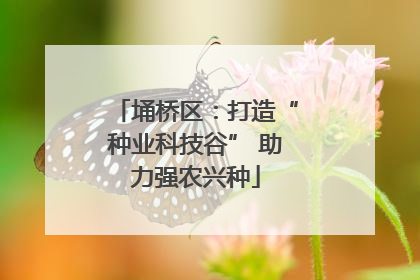埇桥区：打造“种业科技谷” 助力强农兴种