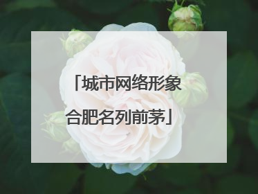城市网络形象合肥名列前茅