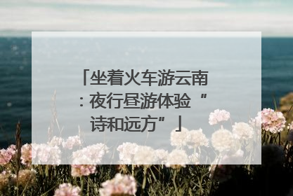 坐着火车游云南：夜行昼游体验“诗和远方”