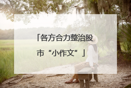 各方合力整治股市“小作文”
