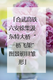 合武高铁六安徐集汲东特大桥“一桥飞架”图景初具雏形