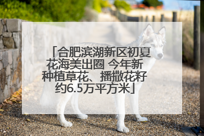 合肥滨湖新区初夏花海美出圈 今年新种植草花、播撒花籽约6.5万平方米