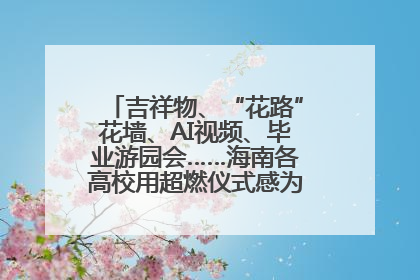 吉祥物、“花路”花墙、AI视频、毕业游园会……海南各高校用超燃仪式感为学子青春“存档”