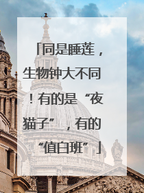 同是睡莲，生物钟大不同！有的是“夜猫子”，有的“值白班”