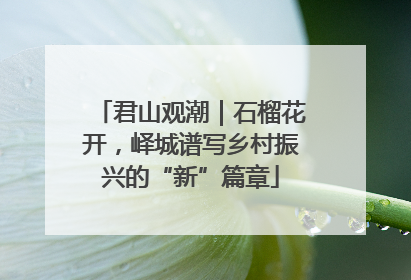 君山观潮｜石榴花开，峄城谱写乡村振兴的“新”篇章