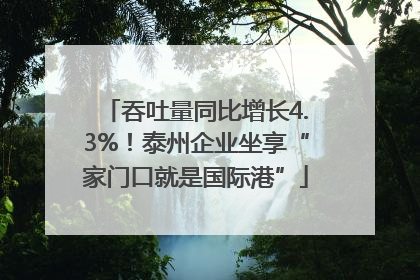 吞吐量同比增长4.3%！泰州企业坐享“家门口就是国际港”