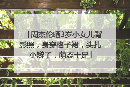 周杰伦晒3岁小女儿背影照，身穿格子裙，头扎小辫子，萌态十足