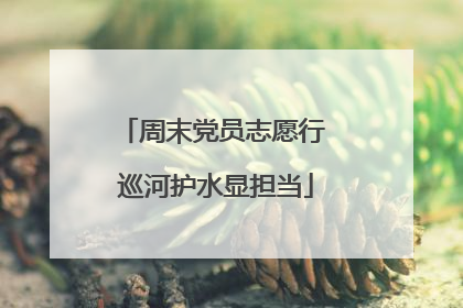 周末党员志愿行 巡河护水显担当