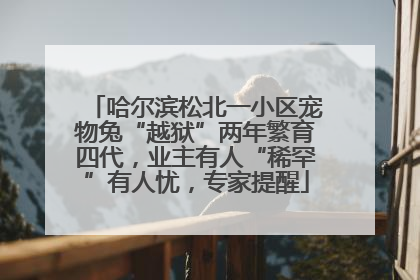 哈尔滨松北一小区宠物兔“越狱”两年繁育四代，业主有人“稀罕”有人忧，专家提醒